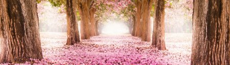 tezgah aras� cam nedir, mutfak ,tezgah, aras� nedir, 3d 